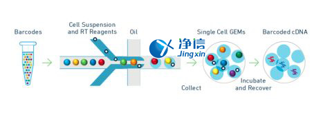 中國人自己的微流控單細(xì)胞測序儀來了！_微流控Drop-seq,微流控技術(shù)